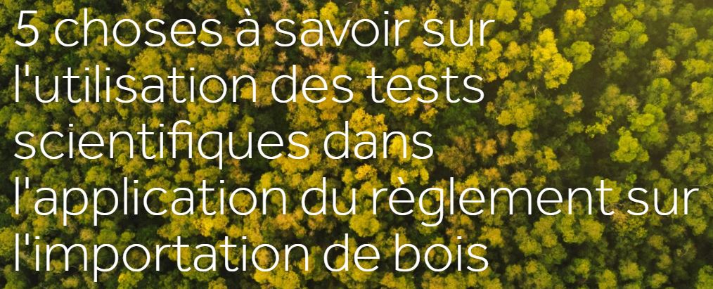 Etude de Forest Trends sur l’utilisation des tests scientifiques dans l’application du règlement sur l’importation des produits bois