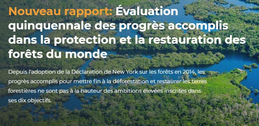 Rapport 2019 de la situation sur la déclaration NYDF (2014)