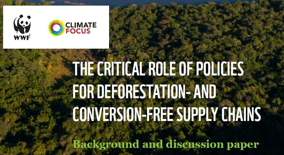 Le rôle crucial des politiques pour les chaînes d’approvisionnement sans déforestation et sans conversion