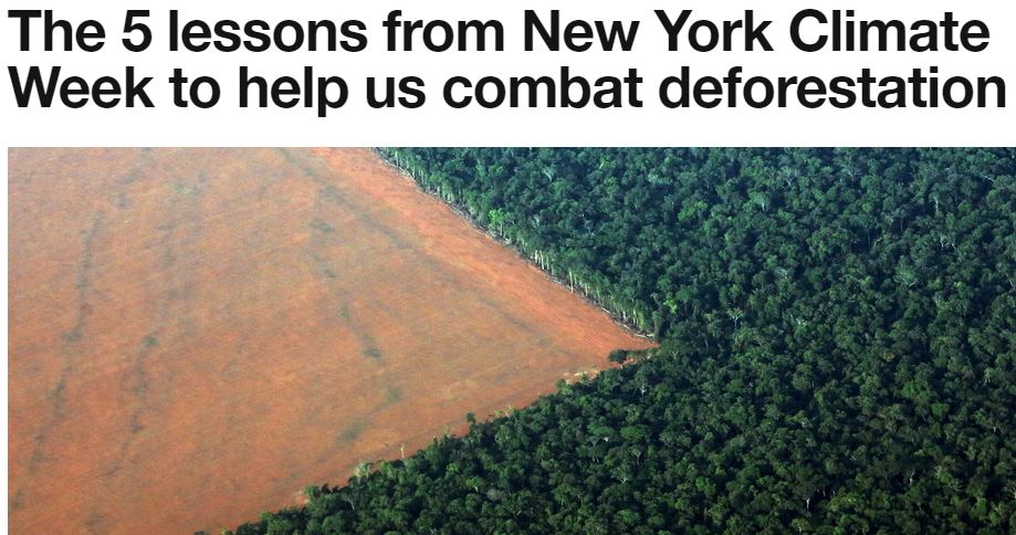 Les 5 leçons de la semaine du climat à New York pour nous aider à lutter contre la déforestation