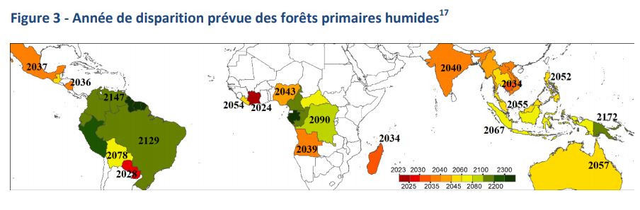 Les 5 priorités pour renforcer l’action de l’Union contre la déforestation et la dégradation des forêts