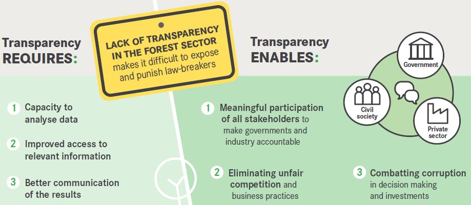 Infographie sur la transparence du secteur forestier