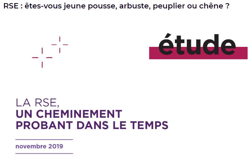 RSE : êtes-vous jeune pousse, arbuste, peuplier ou chêne ?