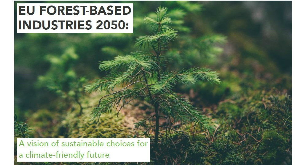 La filière forestière européenne pour une nouvelle vision 2050