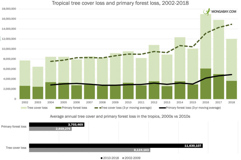 L’accord de Paris « impossible à mettre en œuvre » si la perte des forêts tropicales n’est pas arrêtée.