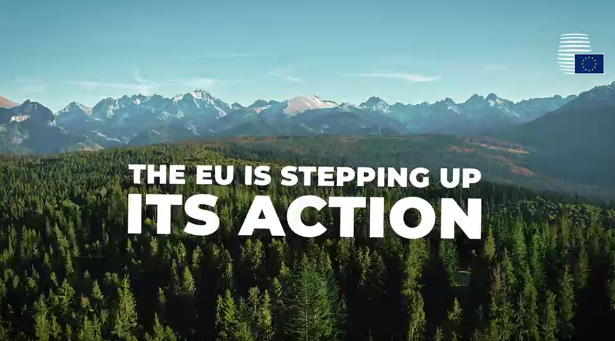Action de l’UE pour protéger les forêts du monde : le Conseil adopte des conclusions.