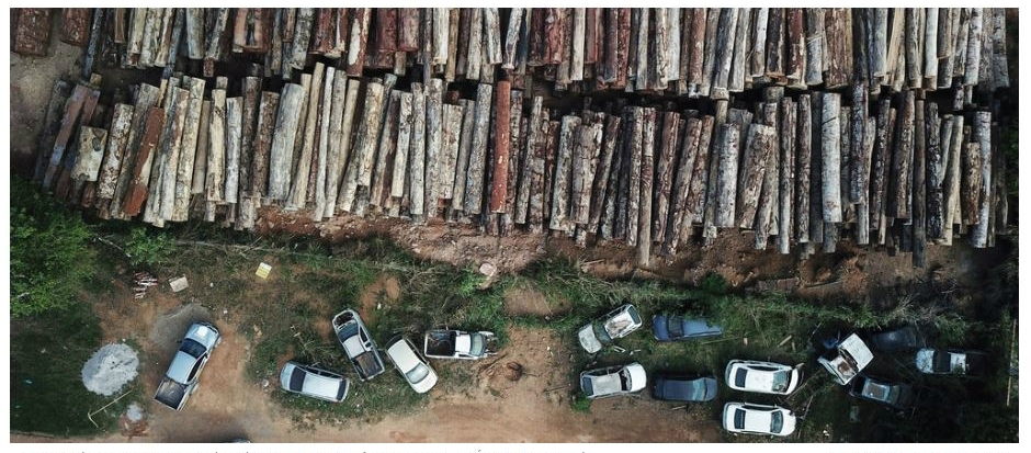 La déforestation ne peut être arrêtée par la seule action volontaire.