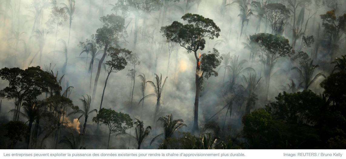 4 façons d’exploiter les données pour arrêter la déforestation dans les chaînes d’approvisionnement