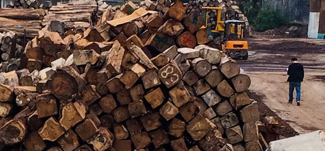Une nouvelle loi en Chine interdit le bois illégal.