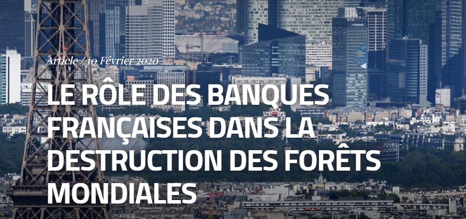 Le rôle des banques françaises dans la destruction des forêts mondiales