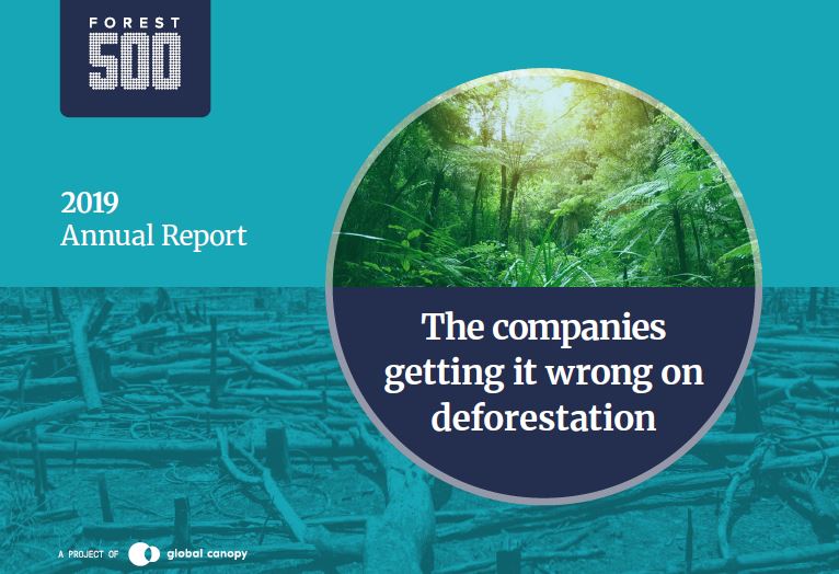 Rapport annuel Forest 500 2019 : les entreprises se trompent sur la déforestation