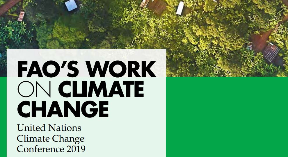 Rapport des travaux de la FAO sur le changement climatique