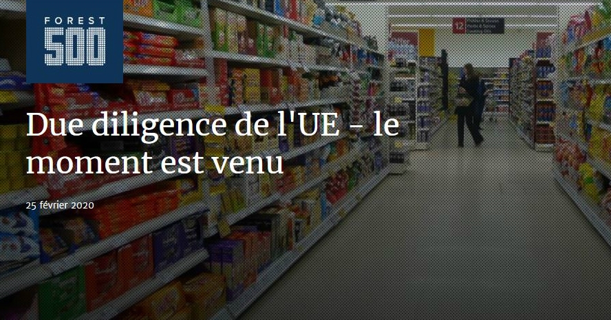 Vers une intensification de la Due Diligence dans l’UE.