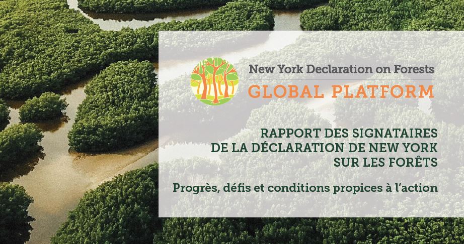 Rapport sur les perspectives d’approbation (NYDF) : perspectives sur les progrès, les défis et les conditions propices à l’action.