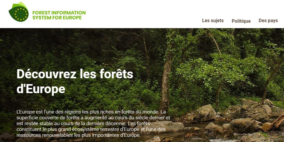 Nouveau système d’information forestière de l’UE pour améliorer les connaissances sur les forêts et les terres boisées