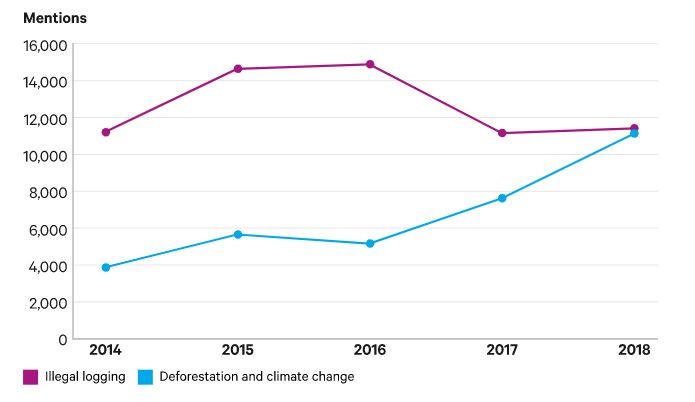 Tendances de la couverture médiatique internationale des forêts