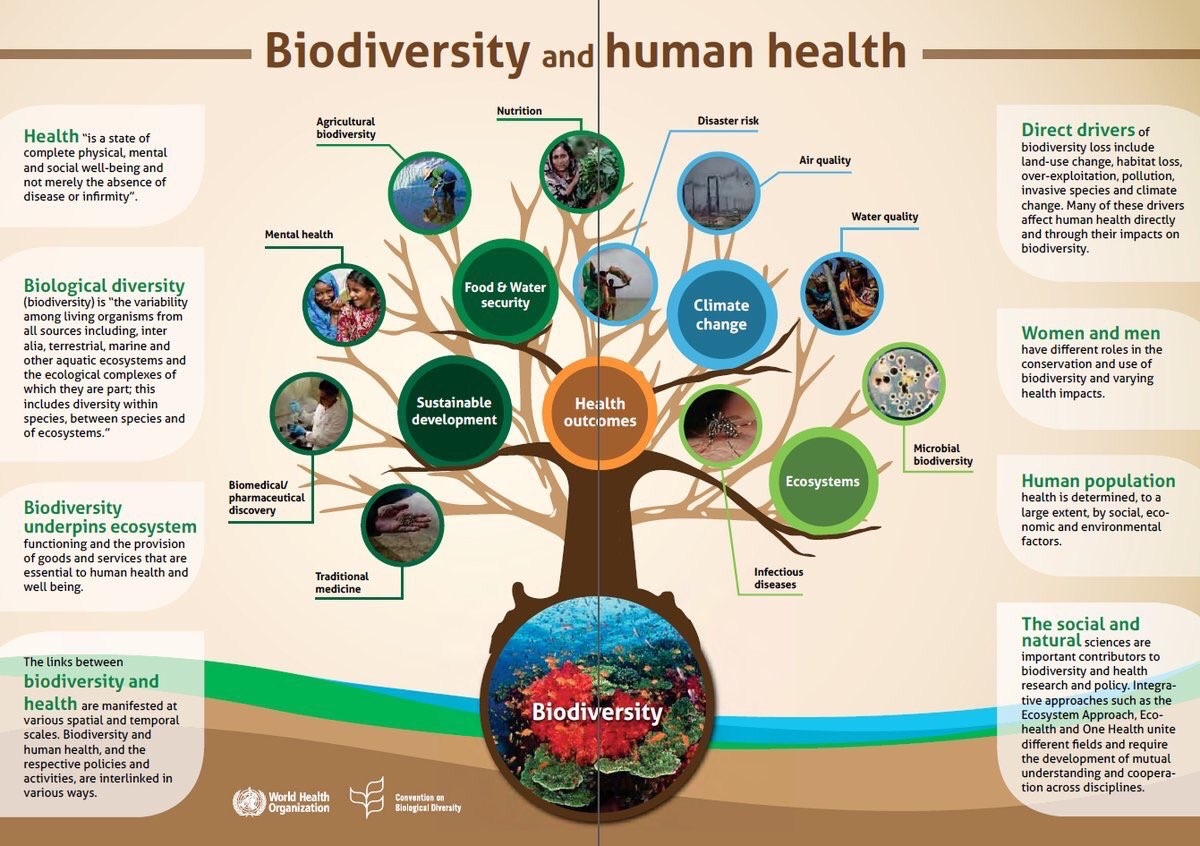 Biodiversité et santé de l’Homme
