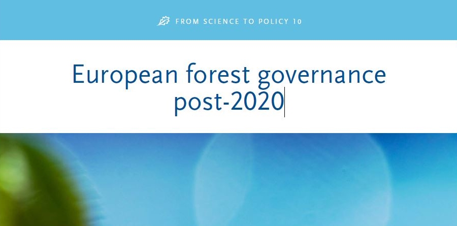 L’élaboration des politiques forestières post-2020