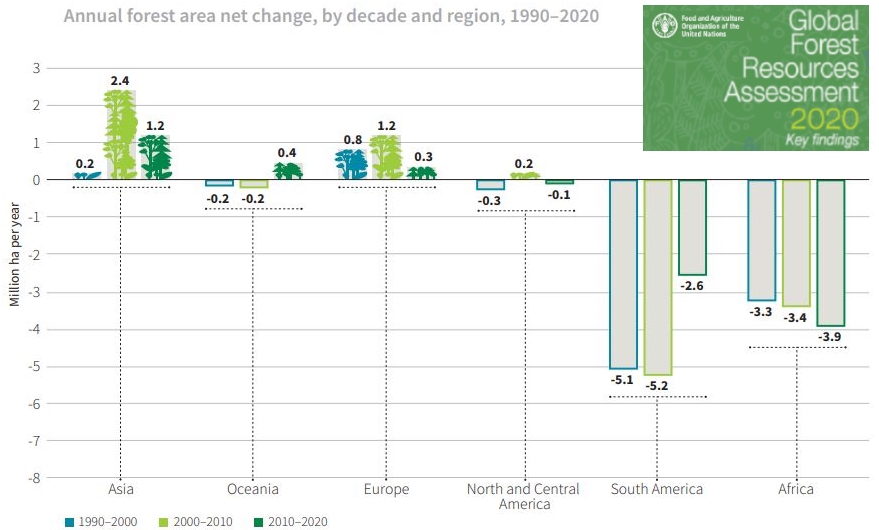 Premiers résultats de l’étude mondiale sur les forêts (FAO)