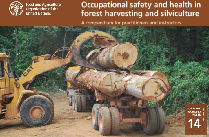 Santé et sécurité en milieu forestier : nouveau document de la FAO.
