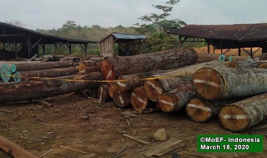 Le système de légalité du bois en Indonésie reste en vigueur