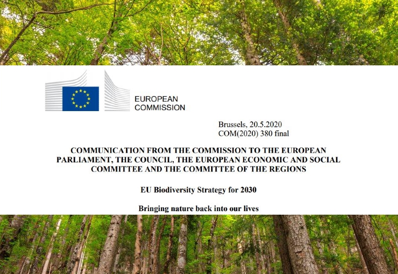 L’UE renforce ses actions avec sa stratégie biodiversité