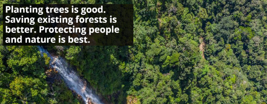Réduire l’impact forestier dans les chaînes d’approvisionnement