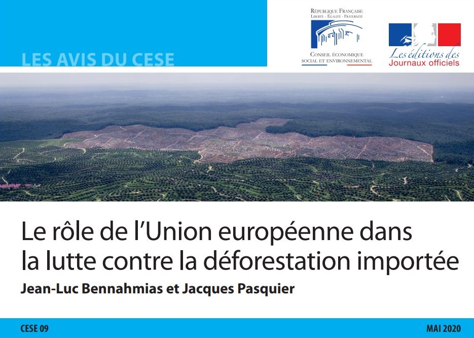 Rôle de l’UE dans la déforestation importée