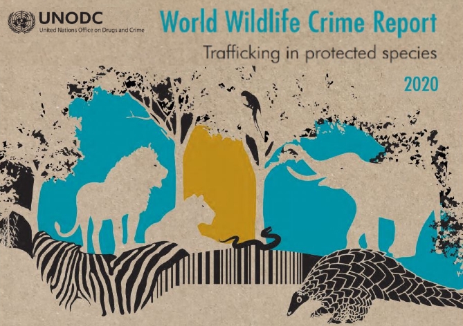 « World Wildlife Crime Report 2020 » (ONUDC)