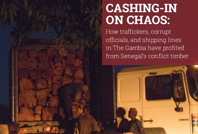 Le trafic de bois de rose s’aggrave entre la Gambie et la Chine