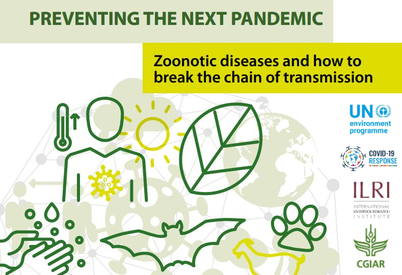 Prévenir la prochaine pandémie : les zoonoses et comment briser la chaîne de transmission