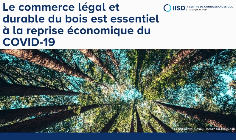 Le commerce légal et durable du bois est essentiel à la reprise économique du COVID-19