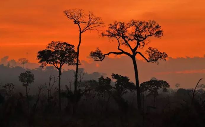 L’Amazonie en feu