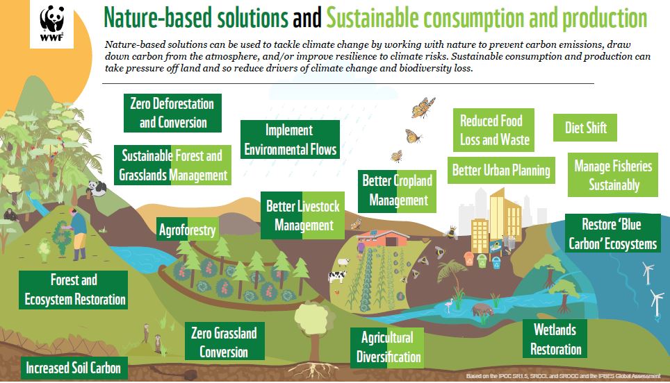 Solutions au changement climatique basées sur la nature