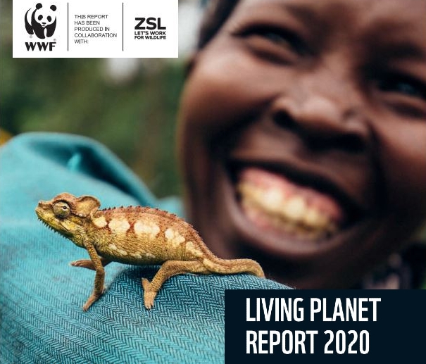 Rapport WWF – Planète Vivante 2020 : déclin de la biodiversité.