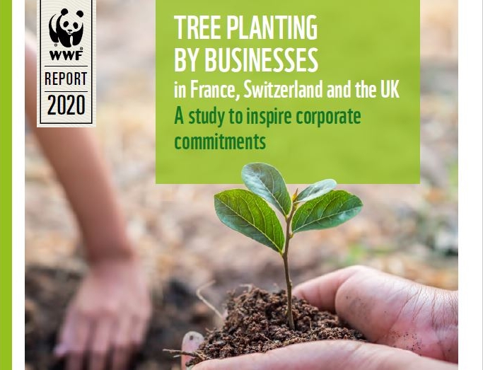 Etude WWF sur la plantation d’arbres par des entreprises en France, en Suisse et au Royaume-Uni.