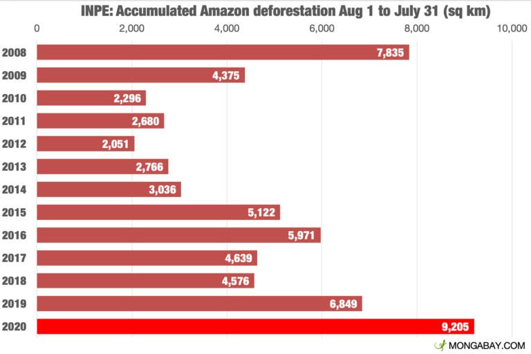 La déforestation continue au Brésil