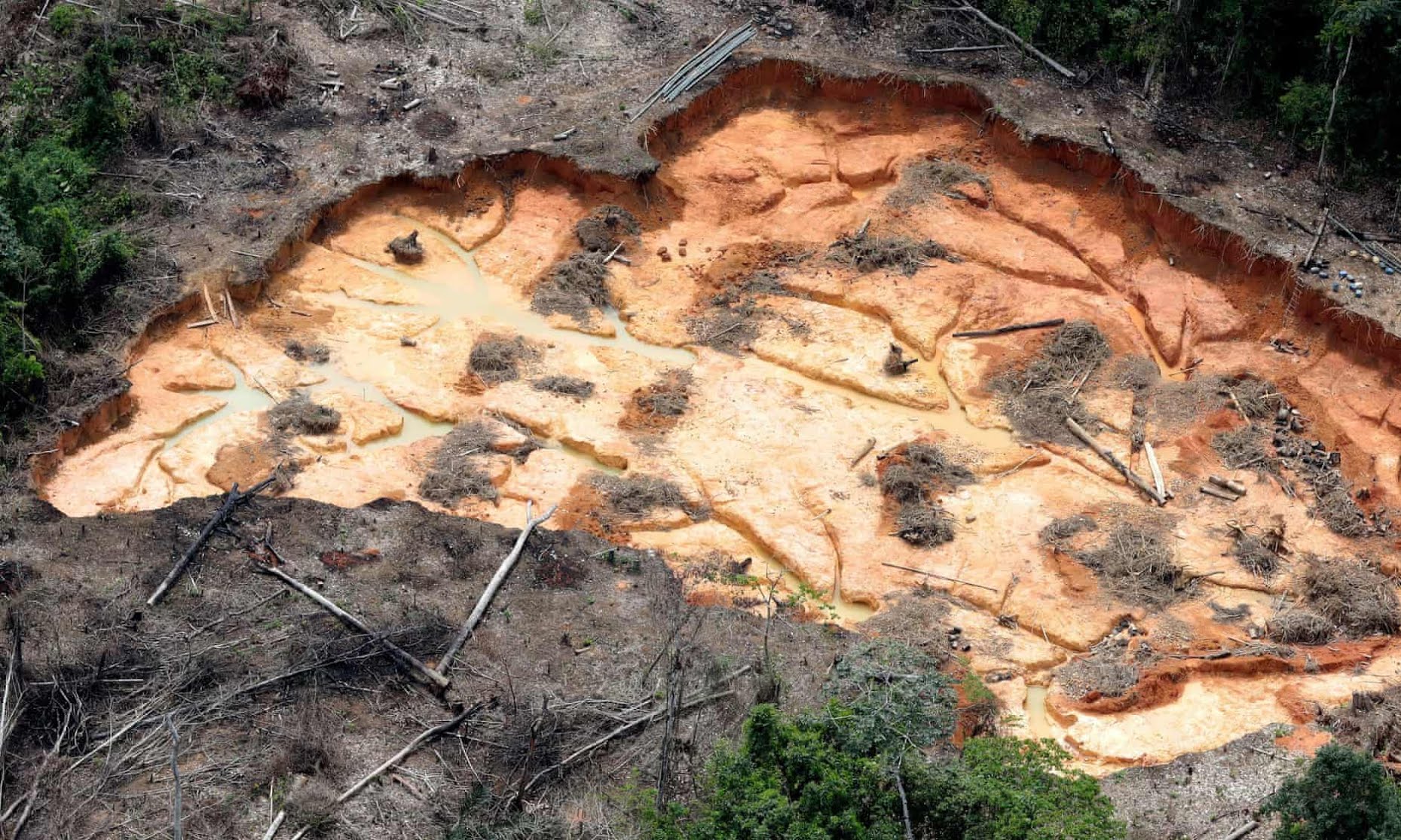 Nouvelle loi au Royaume-Uni pour lutter contre la déforestation illégale