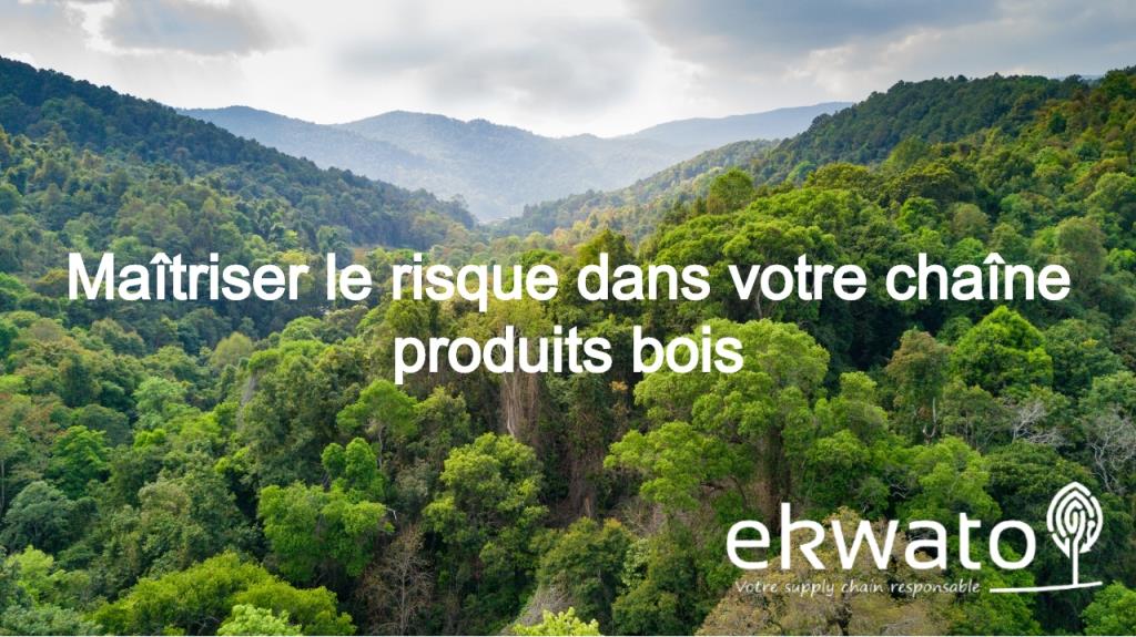 EKWATO lance son outil pour les entreprises de la filière bois