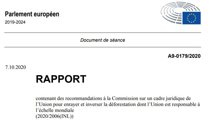 Parlement européen : des mesures plus contraignantes pour arrêter la déforestation mondiale impulsée par l’UE