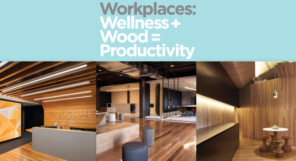 Lieux de travail : le bien-être et le bois assure une meilleure productivité