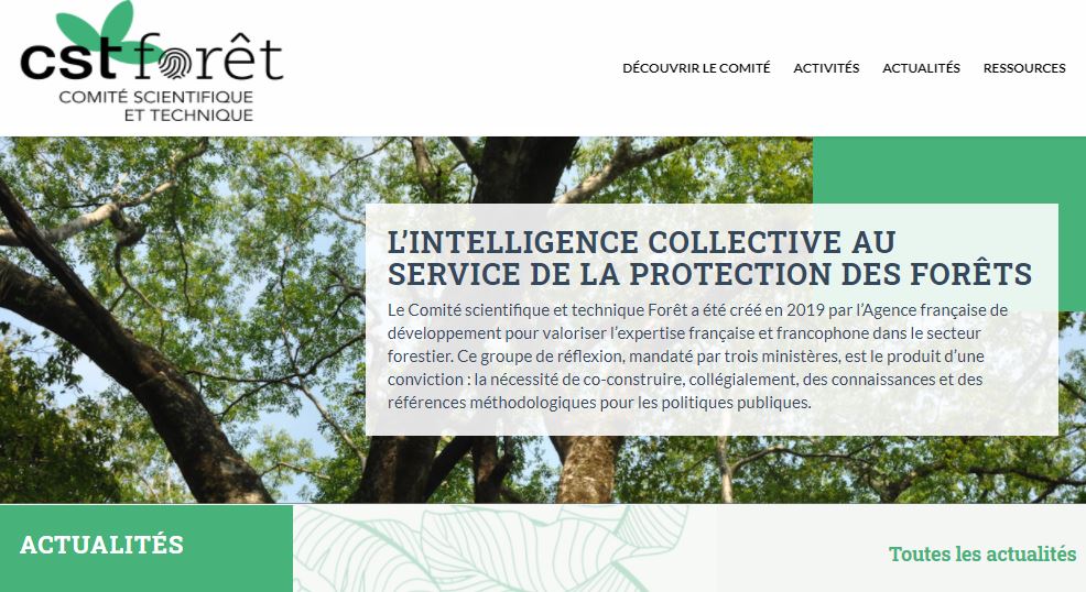 Le site internet du CST-Forêt est disponible