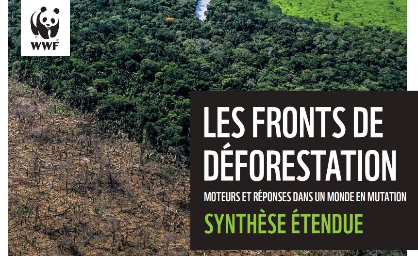 Rapport d’étude WWF : « les fronts de la déforestation »