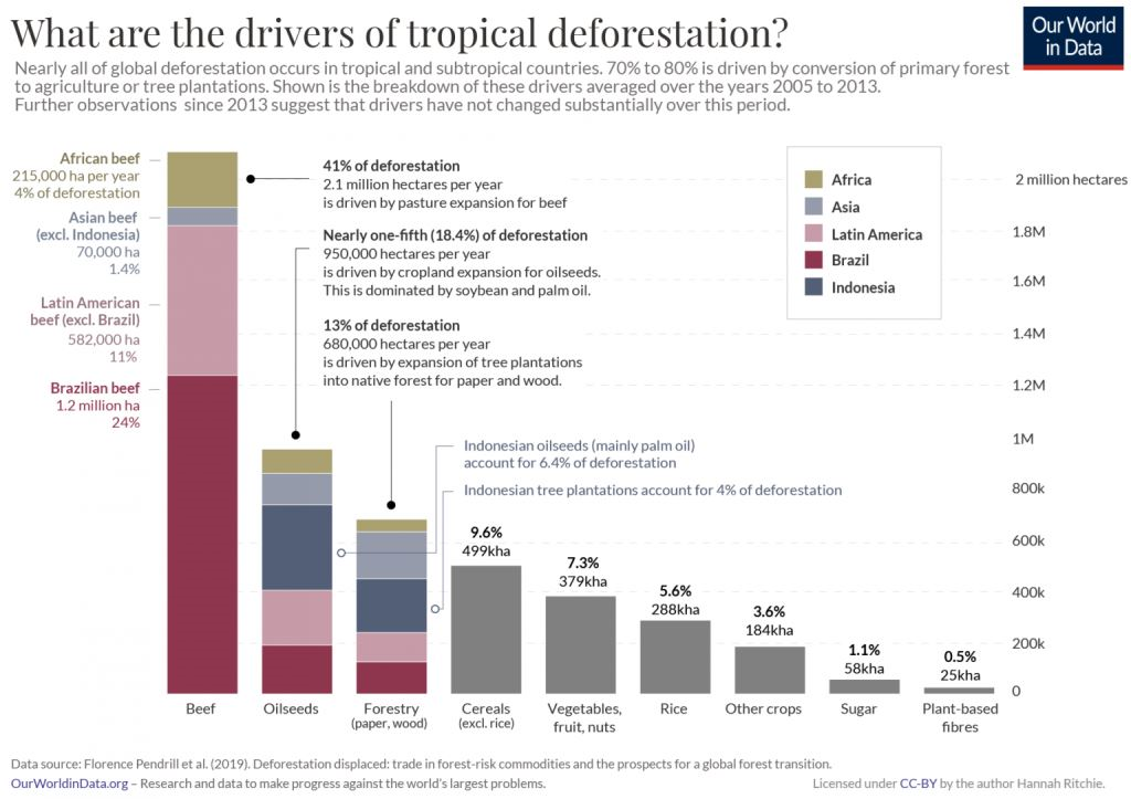 Les moteurs de la déforestation