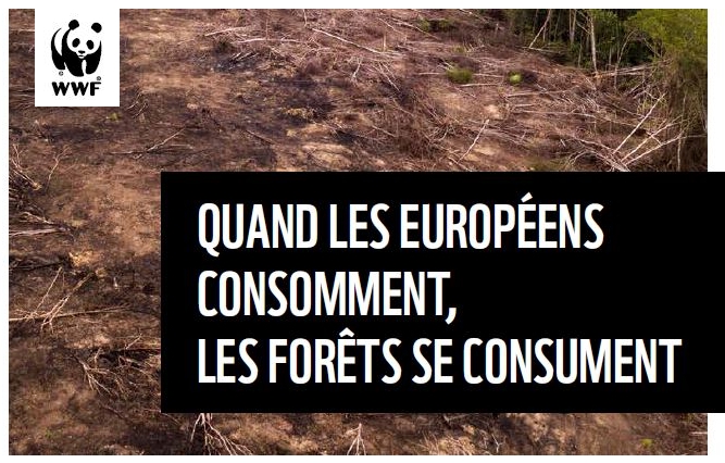 Rapport WWF sur la situation de la déforestation dans l’UE