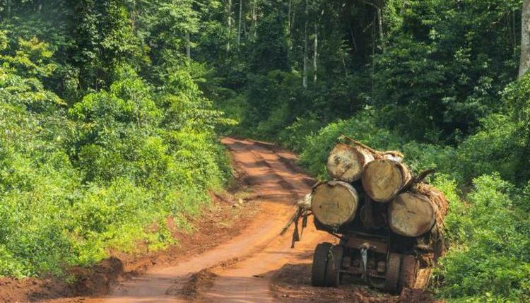 Le SIGIF-2 du Cameroun pour le FLEGT rejeté par l’UE