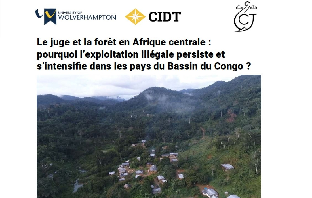 Point de vue sur l’exploitation illégale dans le Bassin du Congo