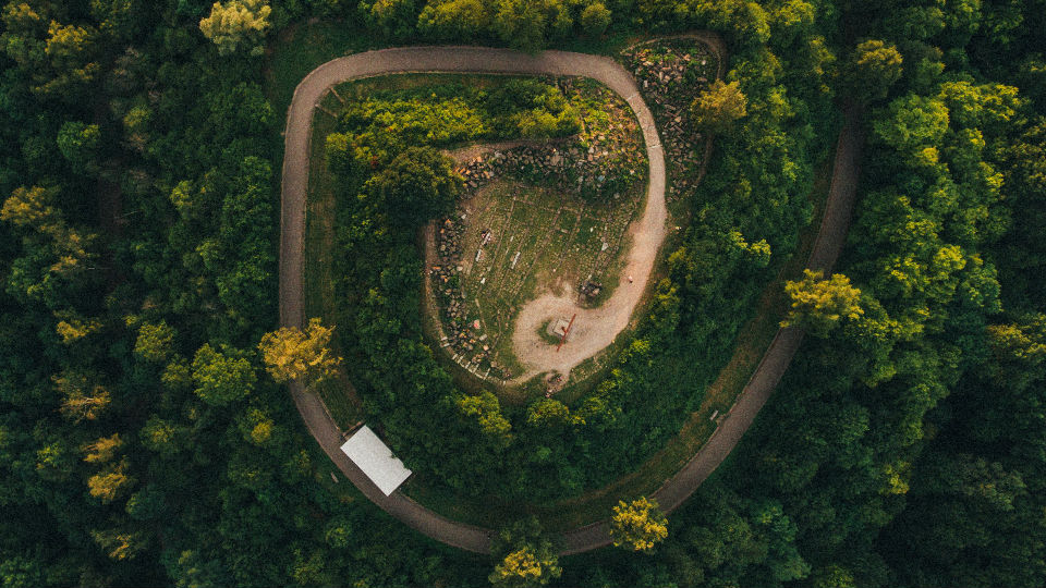 Bulletin d’actualités du RBUE (Client Earth – mars à mai 2021)
