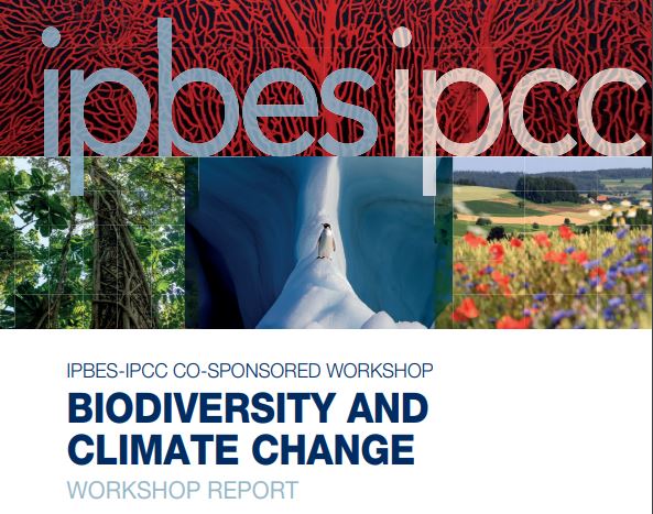 Rapport IPBES-GIEC sur la biodiversité et le changement climatique