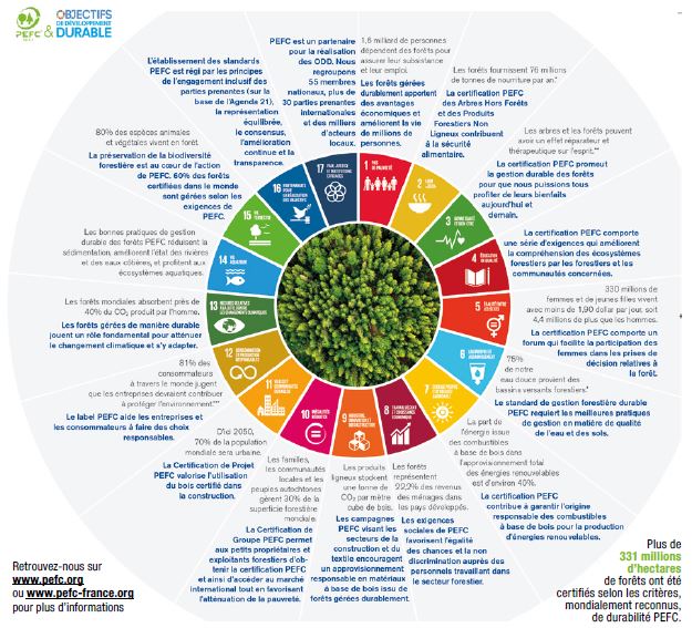 Rapport annuel PEFC 2020 et ODD